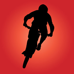 Image showing Mountain biker