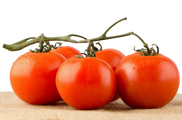 Image showing Cherry tomatoes vine