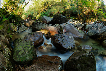 Image showing River at Geres