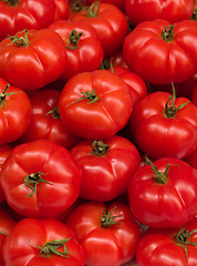 Image showing Fresh Tomatoes