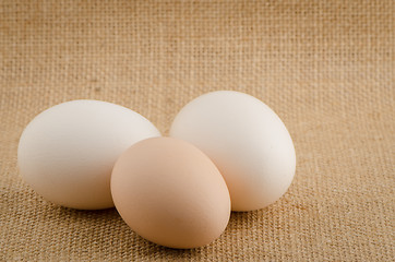 Image showing Three eggs