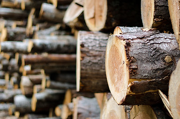 Image showing Wood pile 