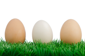 Image showing Three eggs on grass