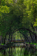 Image showing Park Natural serra Estrela - Portugal 