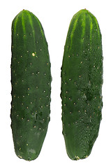 Image showing Fresh green cucumbers