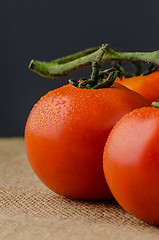 Image showing Closeup of cherry tomatoes