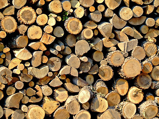 Image showing Firewood log