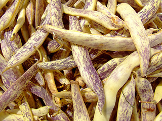 Image showing French beans