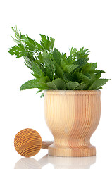 Image showing Green herb leafs 