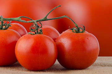 Image showing Cherry tomatoes vine