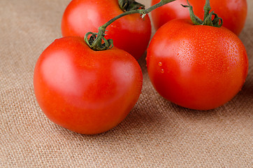 Image showing Cherry tomatoes vine