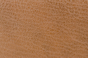 Image showing Leather texture 