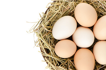 Image showing Eggs closeup