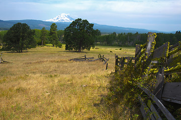 Image showing Mount hood from Trout Lake