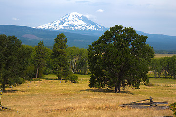 Image showing Mount hood from Trout Lake