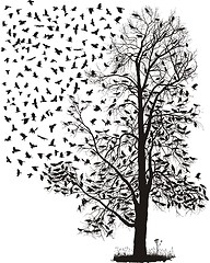 Image showing Crows fly away from the tree