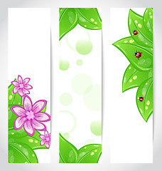 Image showing Set of bio concept design eco friendly banners