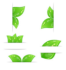 Image showing Set of green ecological labels with leaves isolated on white bac