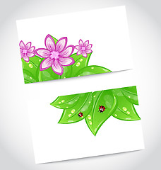 Image showing Set of eco friendly cards with green leaves
