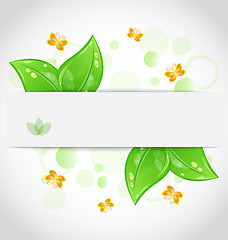 Image showing Eco green leaves with with butterfly isolated on white backgroun