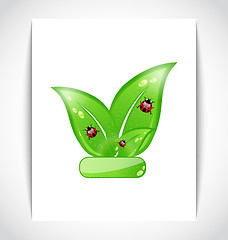 Image showing Green eco leaves with ladybugs on the white paper