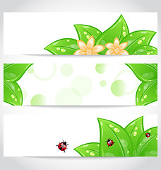 Image showing Set of bio concept design eco friendly banners (2)