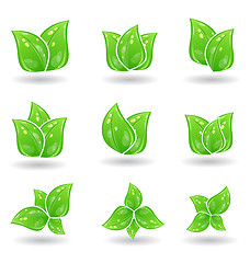 Image showing Set of green eco leaves isolated on white background