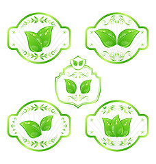 Image showing Set of green ecological labels with leaves isolated on white bac