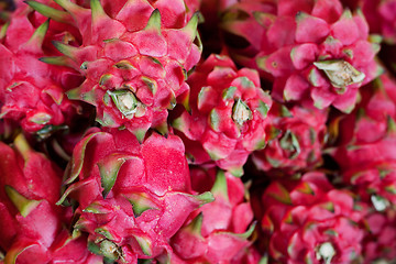 Image showing Dragon fruits