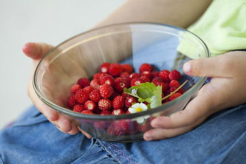 Image showing Wild strawberries