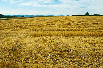 Image showing stubble field with panoramic view