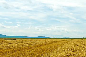 Image showing stubble field with panoramic view