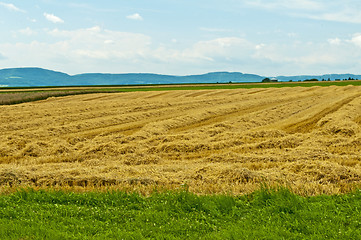 Image showing stubble field with panoramic view