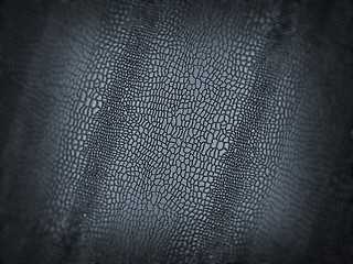 Image showing Alligator skin texture or background with shallow DOF 