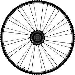 Image showing bike wheel with spokes and tire isolated on white background