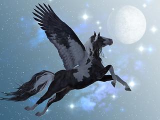 Image showing Pegasus 03