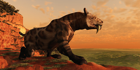 Image showing Saber-Tooth Cat 01