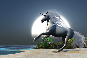 Image showing Midnight Unicorn