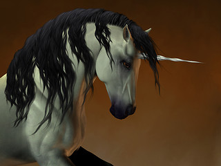 Image showing Unicorn 02