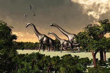 Image showing Brachiosaurus 02