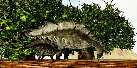 Image showing Stegosaurus 03