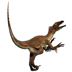 Image showing Utahraptor