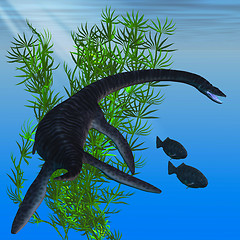 Image showing Plesiosaurus