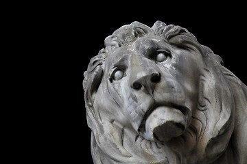 Image showing lion head munich