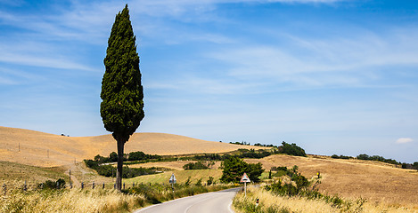 Image showing Road in Tuscany