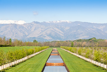 Image showing Water pool