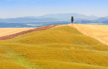 Image showing Country in Tuscany