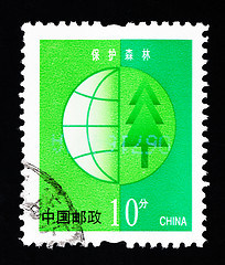 Image showing CHINA - CIRCA 2002: A Stamp printed in China shows the image of protecting the forest , circa 2002