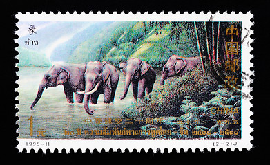 Image showing CHINA - CIRCA 1995: A Stamp printed in China shows the Thai elephants , circa 1995