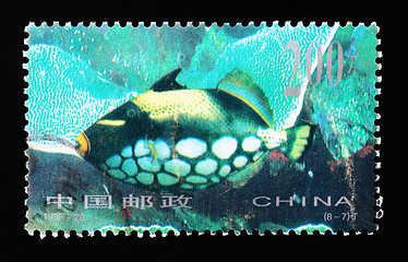Image showing CHINA - CIRCA 1998: A Stamp printed in China shows coral reef fish , circa 1998